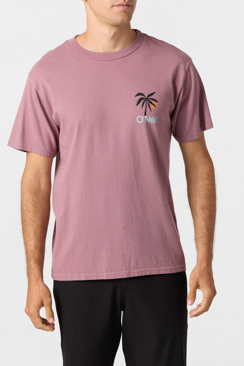 O'Neill Men's Dusk Tee