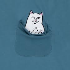 RIPNDIP Lord Nermal Peace
